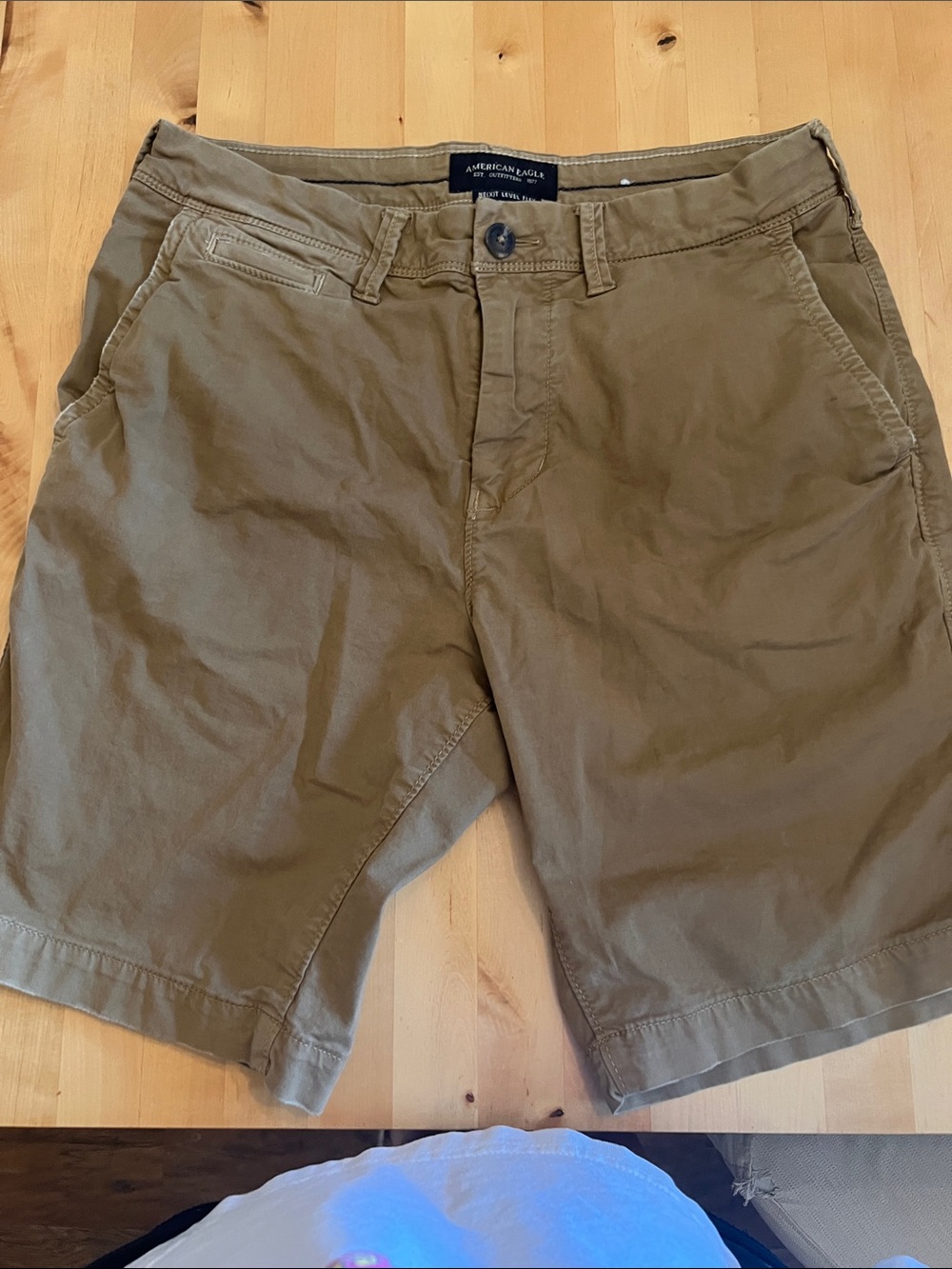 American Eagle Outfitters Olive/Tan Flat Front Men's Shorts